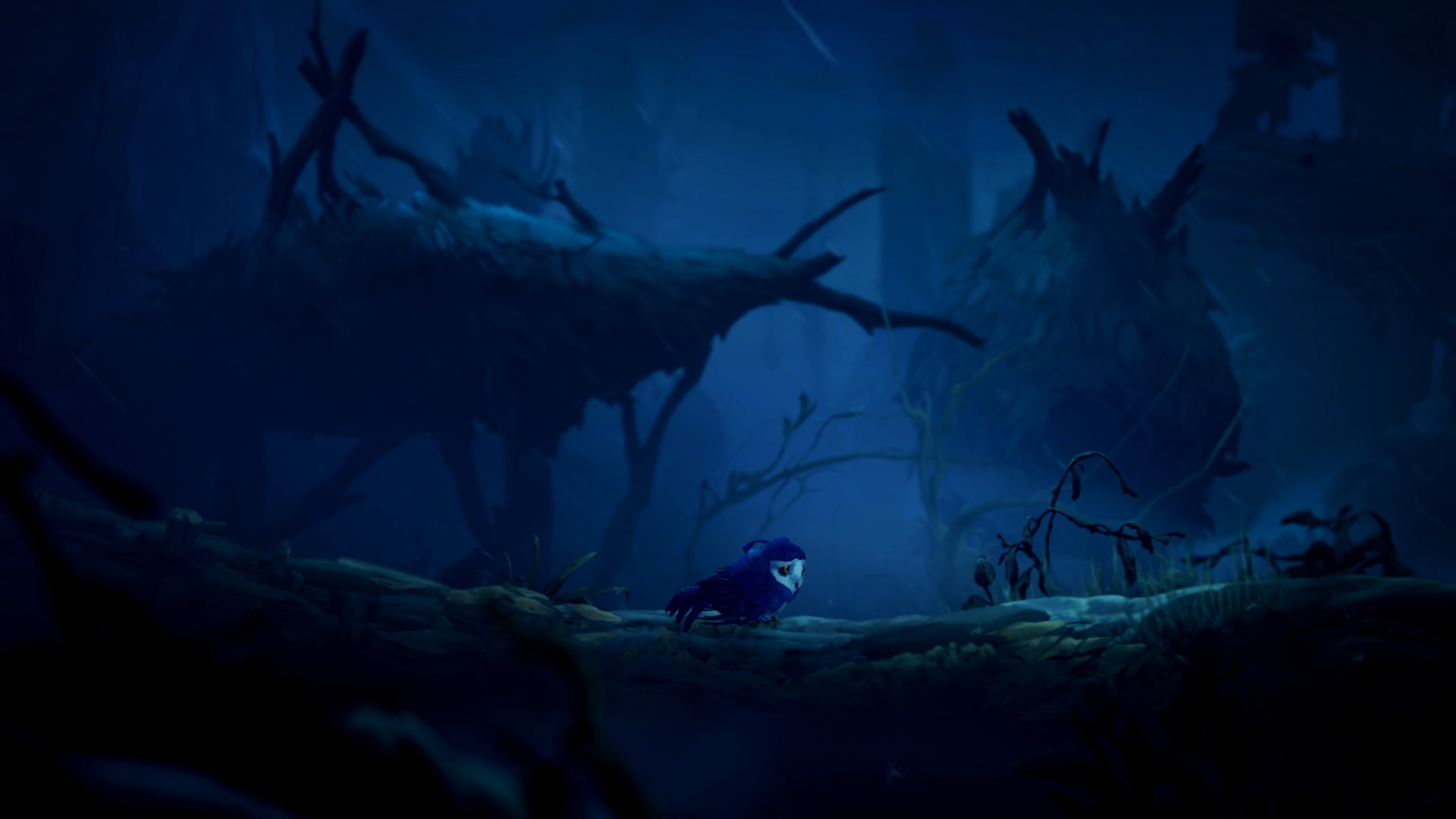 Ori and the Will of the Wisps - Imagen 32